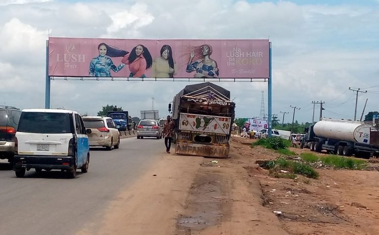 Along Asaba-Onitsha expressway by Okoh junction FTF Benin, Asaba (2)