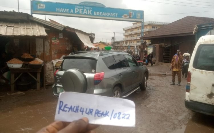 Along Ikorodu road by Mile 12 International market (YAM DEPOT) FTF Exit (1)
