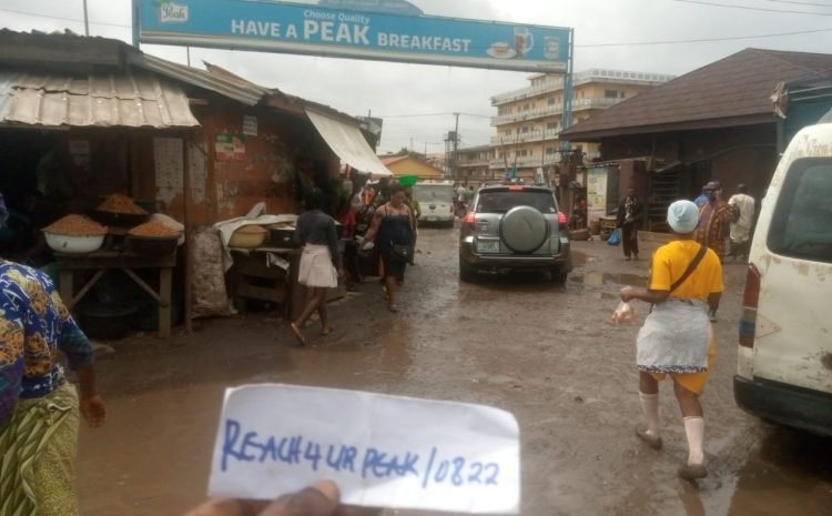 Along Ikorodu road by Mile 12 International market (YAM DEPOT) FTF Exit (3)
